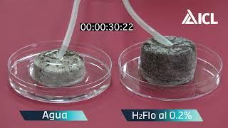 Prueba de eficiencia de Agua Vs. Agua + H2Flo al 0.2%