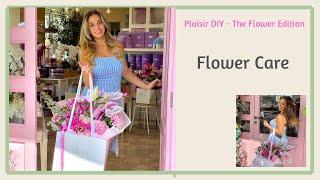 How to care for fresh flowers on a small budget: step-by-step instructions