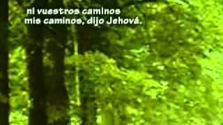 Los Caminos de Dios.flv