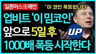 단 5일, 도지코인 시바이누 그리고 '이 밈코인' 1000배 미친 폭등 시작됩니다