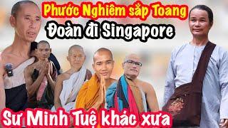 Toang! Phước Nghiêm Sắp Bị Bắt, Sư Minh Tuệ Thẳng Tiến Về Singapore