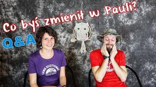 Jakiego jesteśmy wyznania? Co Szybki zmieniłby w Pauli? | Q&A!