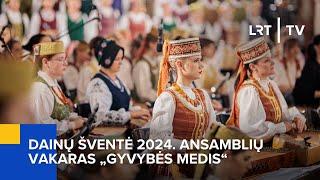 Tiesiogiai. Dainų šventė 2024. Ansamblių vakaras „Gyvybės medis“ | 2024-07-03