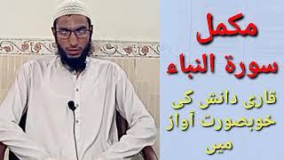 Surat ul Naba beautifull Recitation by Qari Danish / Quran Learning With Haqqani