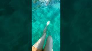 Swimming with fish in Alanya, Turkey  #alanyaantalya #alanya