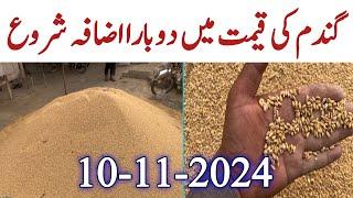 Galla Mandi Me Aj Gandam aka Rate | Today Wheat Price in Punjab