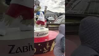 Забивака