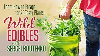 Wild Edibles with Sergei Boutenko | Learn How to Forage for 25 Tasty Plants