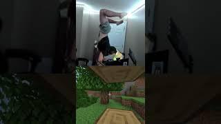 Are we world record holders? #minecraft #clip #gaming