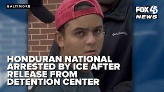 Honduran national arrested by ICE after release from a Maryland Detention Center