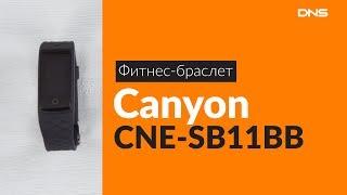 Распаковка фитнес-браслета Canyon CNE-SB11BB / Unboxing Canyon CNE-SB11BB