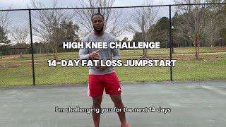 14 Day Fat Loss Challenge ( low Impact High Knee Workouts )