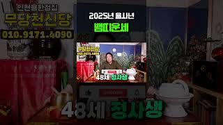 미리보는 2025년 을사년 뱀띠운세