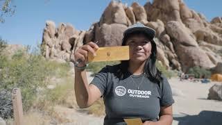 Your First Day in Joshua Tree National Park