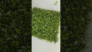 Professional Artificial Green Wall Factory & Creative Artificial Plant Designer