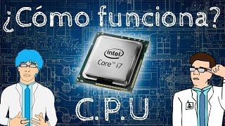 ¿CÓMO FUNCIONA UN CPU? | Guía explicativa