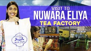 Visit To Nuwara Eliya Tea Factory   | Last Day in Sri Lanka️ | Gayathri Reddy