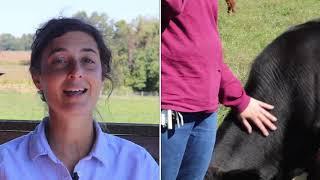 Vegan Spotlight with Jonina Turzi of Lancaster Farm Sanctuary