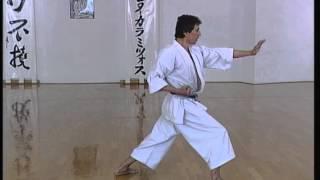 Wankan - Efthimios Karamitsos - Karate - Kata - Shotokan