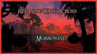 Relaxing Walk Across Morrowind - Ambient Music and Sounds in 4k