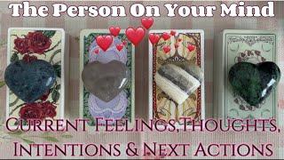 Your Person's Current Feelings, Thoughts, Intentions & Next Actions Towards You️‍Timeless