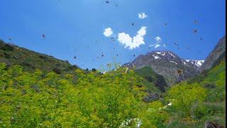 جمال طبيعة ايران -  Iran Nature