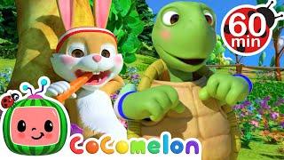 The Tortoise and the Hare + Baa Baa Black Sheep + MORE ! | @Cocomelon - Nursery Rhymes ​| Kids Songs