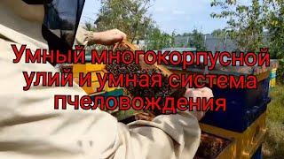 МНОГОКОРПУСНОЙ УЛЕЙ, УНИКАЛЬНАЯ СИСТЕМА ПЧЕЛОВОЖДЕНИЯ, умный УЛЕЙ. ч. 2.