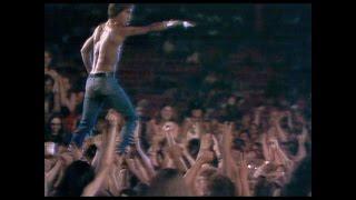 Gimme Danger. История Игги и The Stooges - тизер