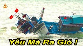 Chủ Ghe Gan Lắm Mới Dám Hành Động Như Thế || Yếu Mà Dám Ra Gió