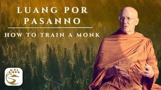 Ordaining, Remaining, & Training in Robes | Luang Por Pasanno Q&A