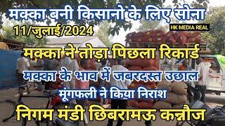 11/जुलाई/2024/मक्का बनी सोना/ मूंगफली ने किया निराश मक्का के बाजार में जबरदस्त उछाल निगम मंडीछिबरामऊ