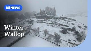 60 million in US under weather warnings as winter storm sweeps country | ABC NEWS