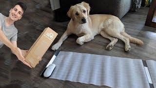 BEST PET TRAINING MAT - Dog Care Pet Shock Mat for Cats Dogs Review