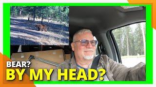 Shocking Bear Encounter: What Happened to the Old Jarhead?