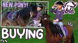 BUYING ROLO *Becoming Harlow* | Star Stable