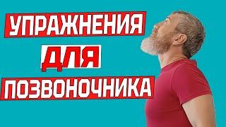 Комплекс упражнений для позвоночника | Профилактика остеохондроза и от болей в позвоночнике и спине