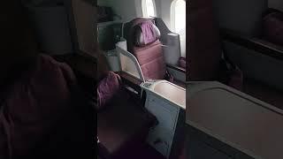 Thai Airways Economy vs Business class. #thailand #thaiairways #businessclass