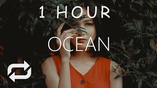 [1 HOUR] Lost Wolves & glasscat - Ocean (Lyrics)