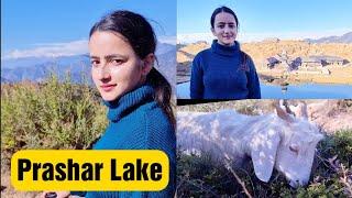 Prashar Lake || Miraculous Floating Island || Heaven On Earth || Jyotika Dilaik