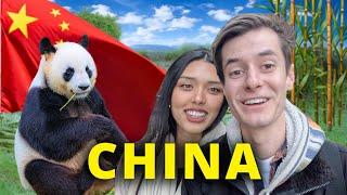 How to see China’s Pandas the right way! 