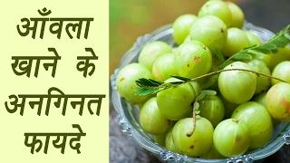 Health Benefits of eating Amla |आँवला खाने के अनगिनत फायदे  | Boldsky