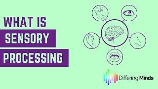 What is Sensory Processing?