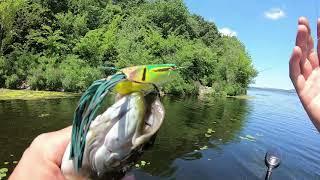 Catching Smallmouth and Largemouth on Lake Onalaska!!!