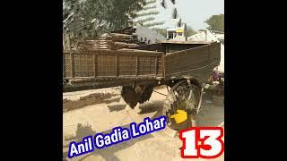 Gadia Lohar  (13)