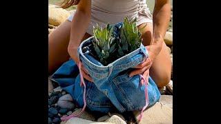 Girl survives by her jeans ️ Funny Moments 123GO! TRENDS#shorts