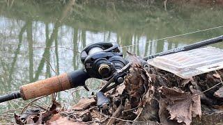 Fishing a GORGEOUS Urban Creek