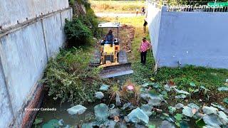 Great Action Bulldozer Pushing Forest Landfill 7 X 24 Meter And Dump Truck Dumping Soil For Back Fil