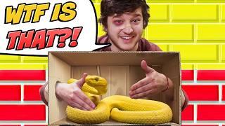 What's In The Box Challenge With Marss