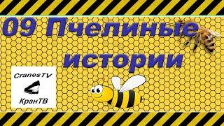 09 Пчелиные истории [Bee stories]